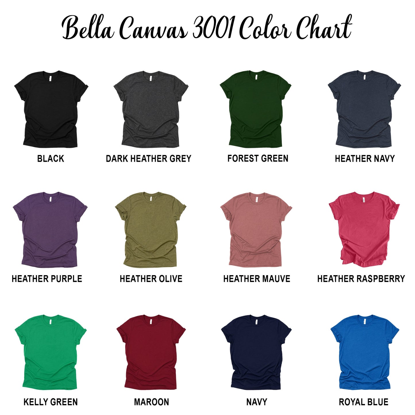 We Do Not Care Cat Unisex Premium Bella Canvas 3001 T-Shirt